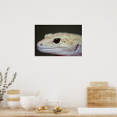 Albino Leopard Gecko Nah Up Poster (Küche)