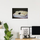 Albino Leopard Gecko Nah Up Poster (Heimbüro)