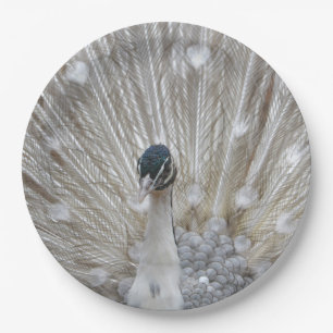Albino Peacock Pappteller