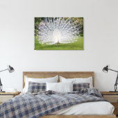 Albino Peacock zeigt Feathers an Leinwanddruck (Insitu (Schlafzimmer))