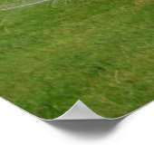 Albino Peacock zeigt Feathers an Poster (Ecke)