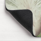 Albino-Pfau Mousepad (Ecke)