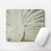 Albino-Pfau Mousepad (Mit Mouse)