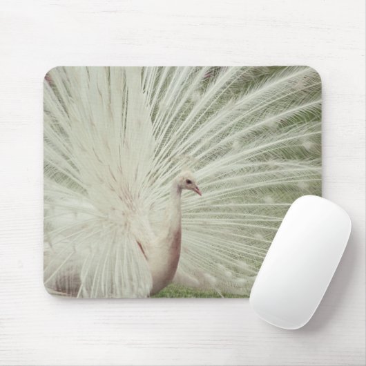 Albino-Pfau Mousepad (Mit Mouse)