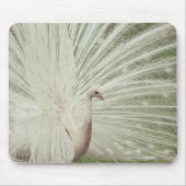 Albino-Pfau Mousepad (Vorne)