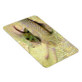 Albino Rattle Snake Flexible Magnet (Rechte Seite)