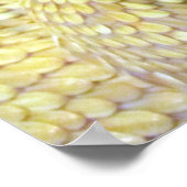 Albino RattleSnake Poster (Ecke)