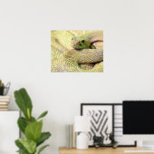 Albino RattleSnake Poster (Heimbüro)