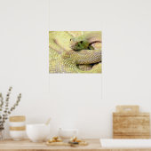 Albino RattleSnake Poster (Küche)