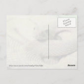 Albino Rattlesnake Postkarte (Rückseite)