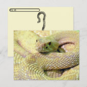 Albino Rattlesnake Postkarte (Vorne/Hinten)