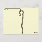 Albino Rattlesnake Postkarte (Rückseite)