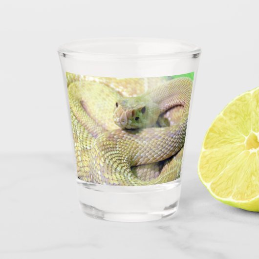 Albino Rattlesnake Shot glass Schnapsglas (Vorderseite)