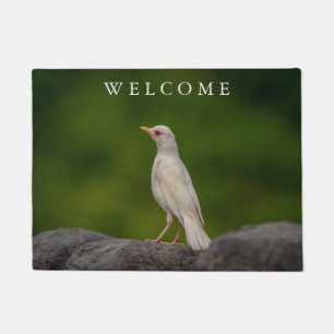 Albino Robin in Crown Point Fußmatte
