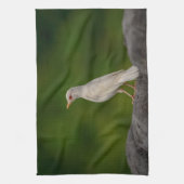 Albino Robin in Crown Point Geschirrtuch (Vertikal)
