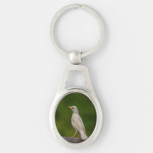 Albino Robin in Crown Point Schlüsselanhänger (Vorderseite)
