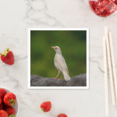 Albino Robin in Crown Point Serviette (Beispiel)