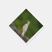 Albino Robin in Crown Point Serviette (Ecke)