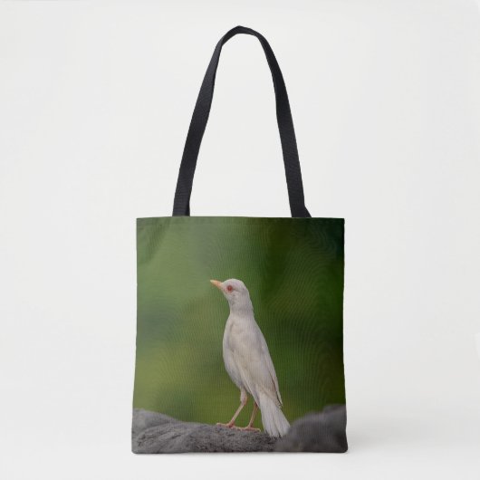 Albino Robin in Crown Point Tasche (Vorderseite)