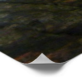 Albino Snake Poster (Ecke)