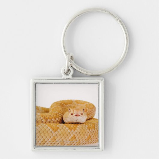 Albino-Westerndiamantmarkierungsklapperschlange Schlüsselanhänger (Vorne)