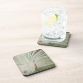 Albinopfau Untersetzer (Rechte Seite)