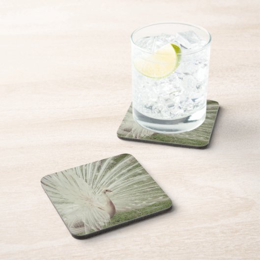 Albinopfau Untersetzer (Rechte Seite)