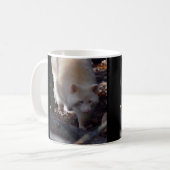 Albinoraccoon-Tasse Kaffeetasse (Vorderseite Links)