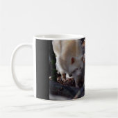 Albinoraccoon-Tasse Kaffeetasse (Links)