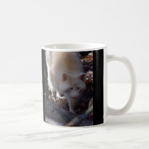 Albinoraccoon-Tasse Kaffeetasse