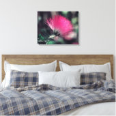 Albizia julibrissin (Persischer Seidenbaum) Leinwanddruck (Insitu (Schlafzimmer))