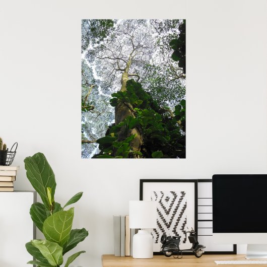 Albizia Tree Poster (Heimbüro)