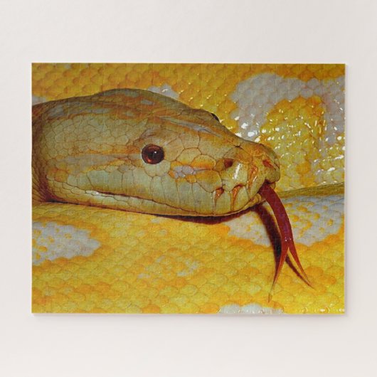 Alboino Birmane-Pythonschlange Puzzle (Horizontal)