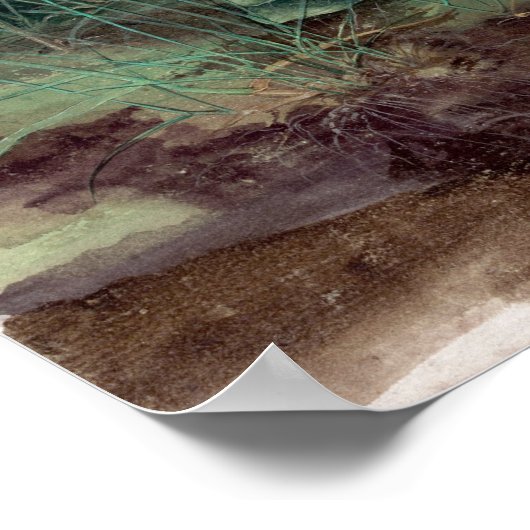 Albrecht Dürer Das große Stück Turf Poster (Ecke)