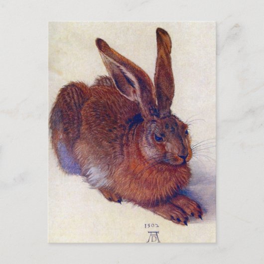 Albrecht Durer - Field Hare GC Postkarte (Vorderseite)