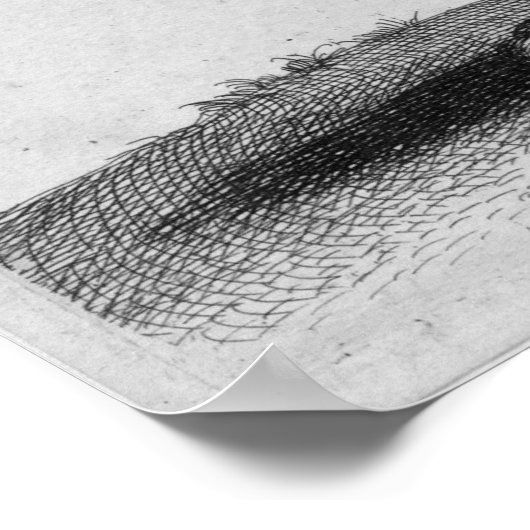 Albrecht Durer Graving Lion Poster (Ecke)