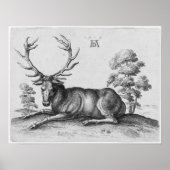 Albrecht Durer Graving Stag Deer Poster (Vorne)