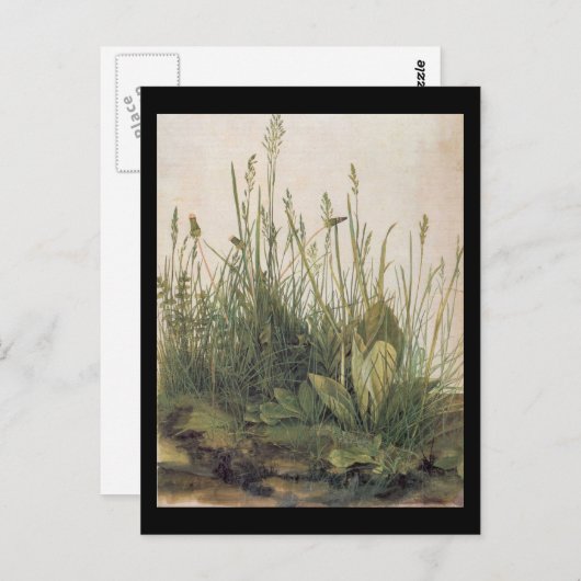 Albrecht Durer Great Piece of Turf Postkarte (Vorne/Hinten)