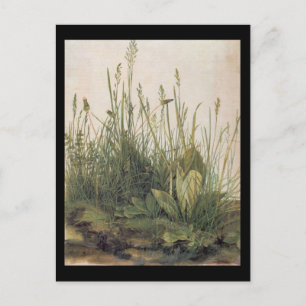Albrecht Dürer Großes Rasenstück Postkarte