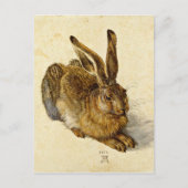 Albrecht Durer - Hare (1502) Postkarte (Vorderseite)