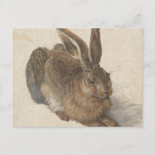 Albrecht Dürer - Hare Postkarte