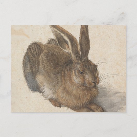 Albrecht Dürer - Hare Postkarte (Vorderseite)