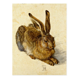 Albrecht Dürer Kunstkarte Postkarte nicht signiert