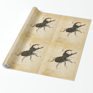 Albrecht Durer Hirschkäfer Renaissance Vintage Kun Geschenkpapier