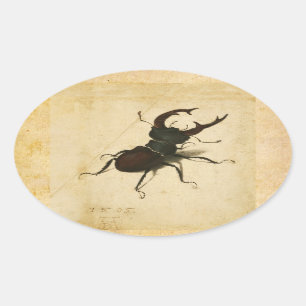 Albrecht Durer Hirschkäfer Renaissance Vintage Kun Ovaler Aufkleber