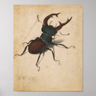 Albrecht Dürer Hirschkäfer Renaissance Vintage Kun Poster
