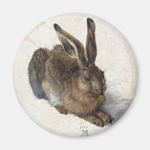 Albrecht Dürer, Junger Hase, 1502 Magnet