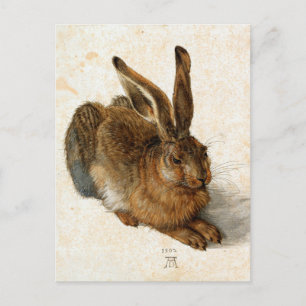 ALBRECHT DÜRER - Junger Hase 1502 Postkarte