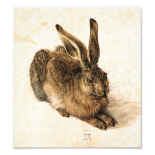 Albrecht Dürer Junger Hase Fotodruck