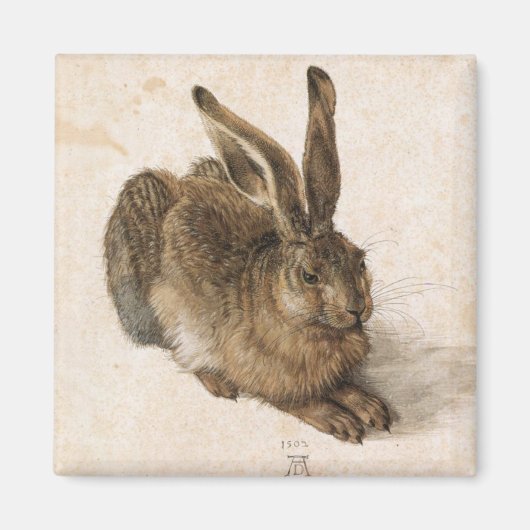 Albrecht Dürer - Junger Hase (Young Hare), 1502 Magnet (Vorne)